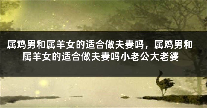 属鸡男和属羊女的适合做夫妻吗，属鸡男和属羊女的适合做夫妻吗小老公大老婆
