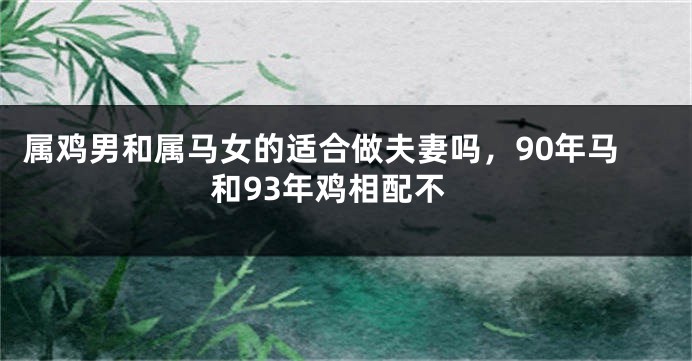属鸡男和属马女的适合做夫妻吗，90年马和93年鸡相配不