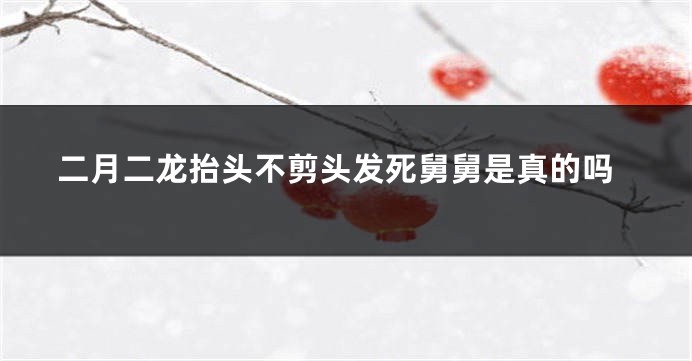 二月二龙抬头不剪头发死舅舅是真的吗