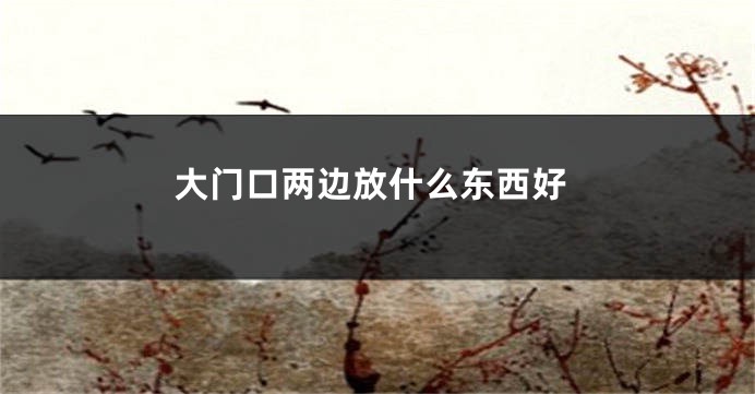 大门口两边放什么东西好