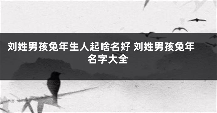 刘姓男孩兔年生人起啥名好 刘姓男孩兔年名字大全
