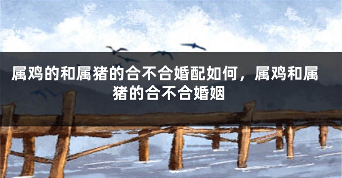 属鸡的和属猪的合不合婚配如何，属鸡和属猪的合不合婚姻