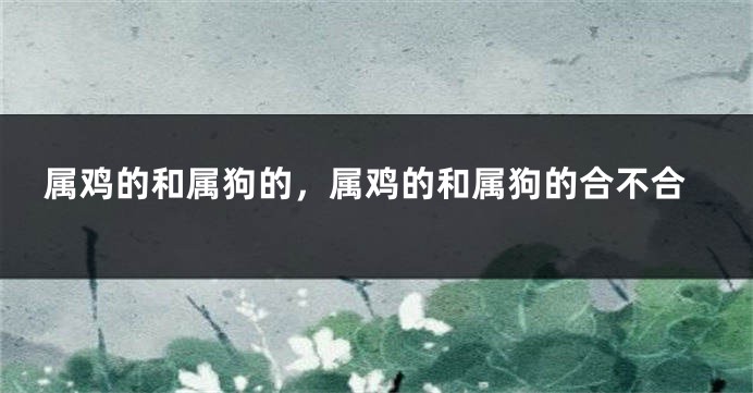 属鸡的和属狗的，属鸡的和属狗的合不合