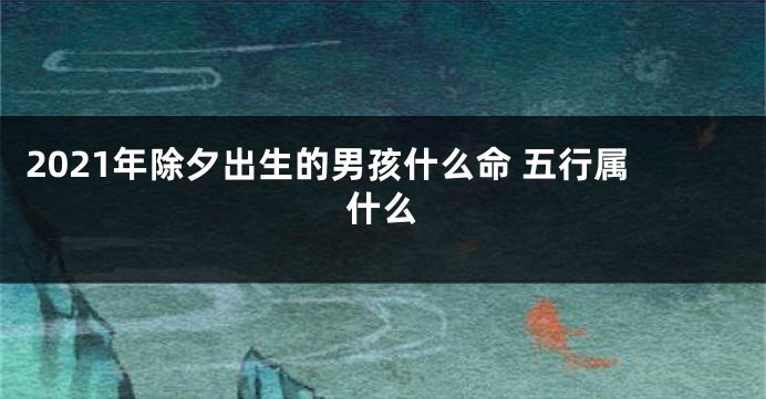 2021年除夕出生的男孩什么命 五行属什么