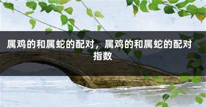 属鸡的和属蛇的配对,属鸡的和属蛇的配对指数