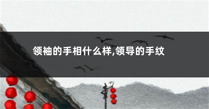 领袖的手相什么样,领导的手纹