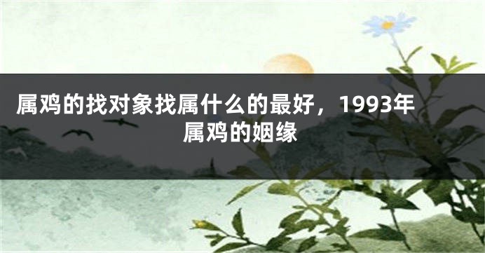 属鸡的找对象找属什么的最好，1993年属鸡的姻缘