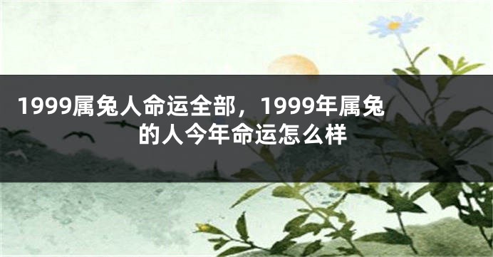 1999属兔人命运全部，1999年属兔的人今年命运怎么样