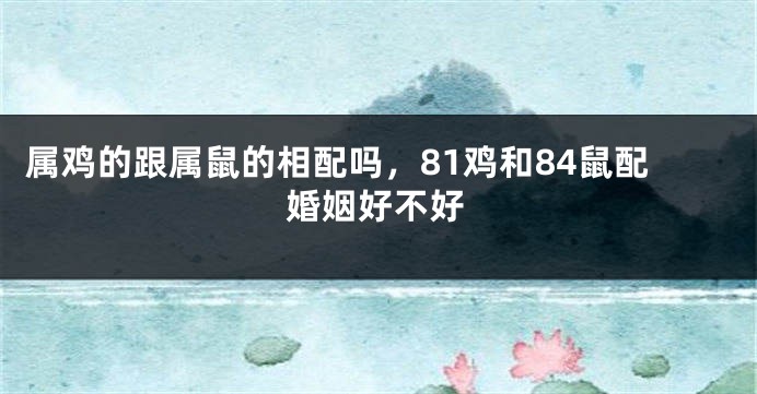 属鸡的跟属鼠的相配吗，81鸡和84鼠配婚姻好不好