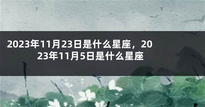 2023年11月23日是什么星座，2023年11月5日是什么星座