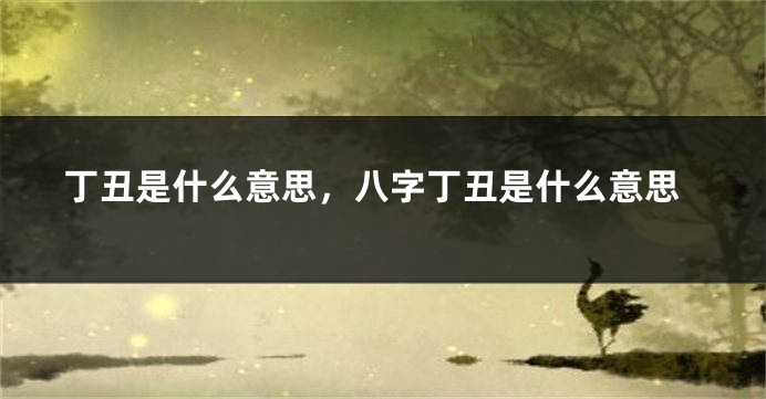 丁丑是什么意思，八字丁丑是什么意思