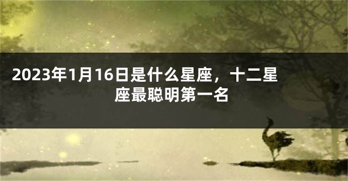 2023年1月16日是什么星座，十二星座最聪明第一名