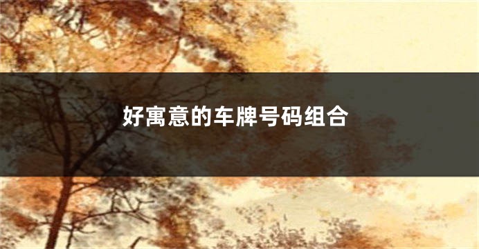 好寓意的车牌号码组合