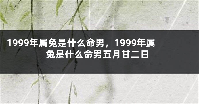 1999年属兔是什么命男，1999年属兔是什么命男五月甘二日