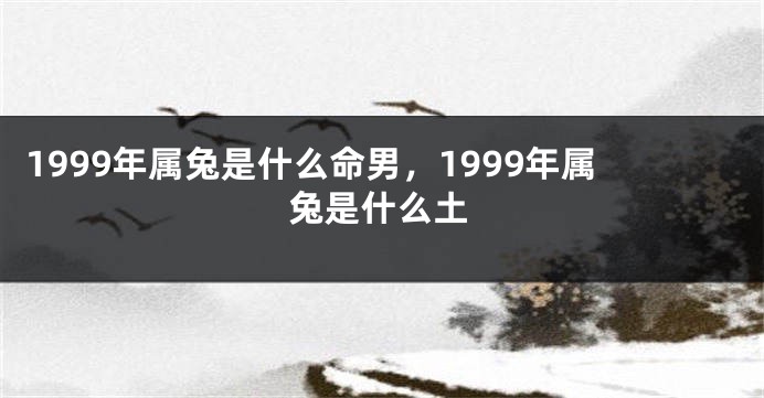 1999年属兔是什么命男，1999年属兔是什么土