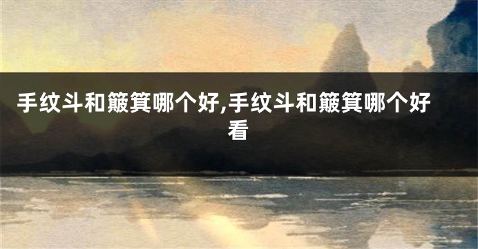手纹斗和簸箕哪个好,手纹斗和簸箕哪个好看