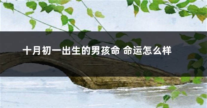 十月初一出生的男孩命 命运怎么样