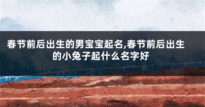 春节前后出生的男宝宝起名,春节前后出生的小兔子起什么名字好