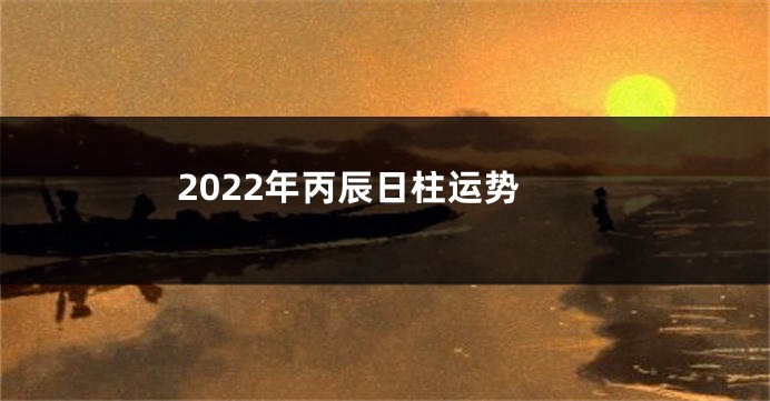2022年丙辰日柱运势