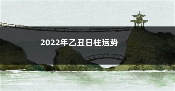 2022年乙丑日柱运势