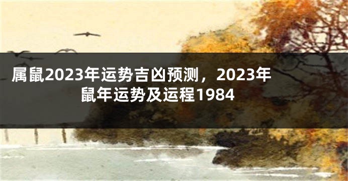 属鼠2023年运势吉凶预测，2023年鼠年运势及运程1984