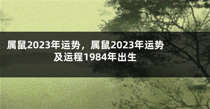 属鼠2023年运势，属鼠2023年运势及运程1984年出生