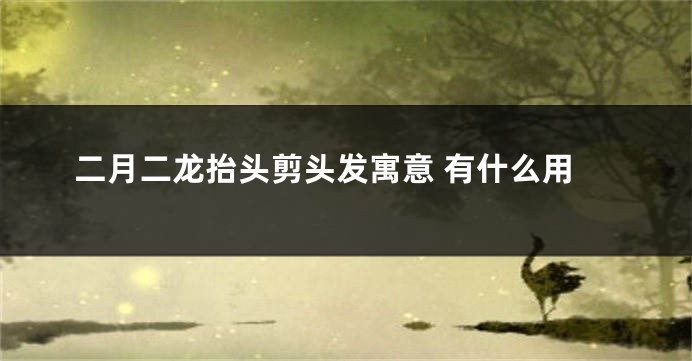 二月二龙抬头剪头发寓意 有什么用