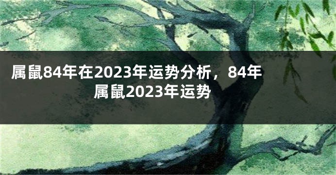 属鼠84年在2023年运势分析，84年属鼠2023年运势