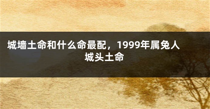 城墙土命和什么命最配，1999年属兔人城头土命