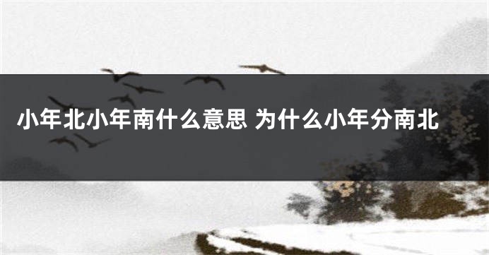小年北小年南什么意思 为什么小年分南北