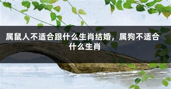 属鼠人不适合跟什么生肖结婚，属狗不适合什么生肖