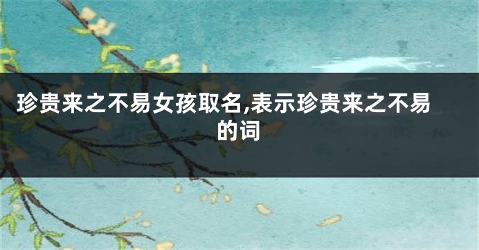 珍贵来之不易女孩取名,表示珍贵来之不易的词
