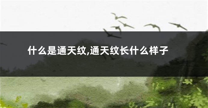 什么是通天纹,通天纹长什么样子