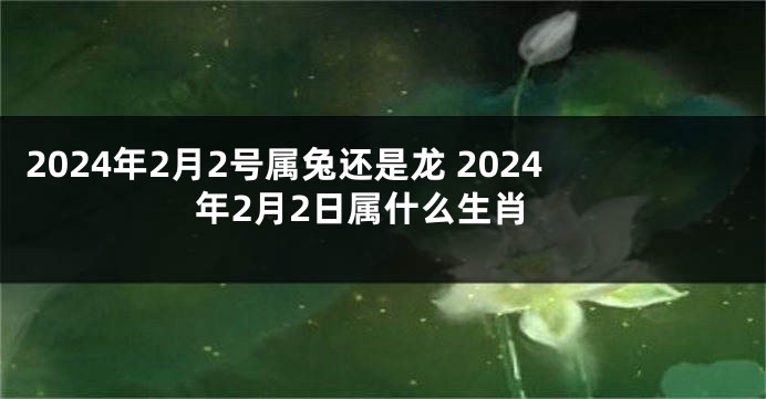 2024年2月2号属兔还是龙 2024年2月2日属什么生肖