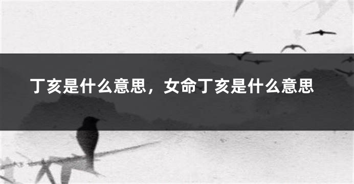 丁亥是什么意思，女命丁亥是什么意思