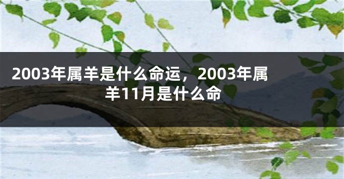 2003年属羊是什么命运，2003年属羊11月是什么命