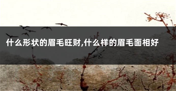 什么形状的眉毛旺财,什么样的眉毛面相好