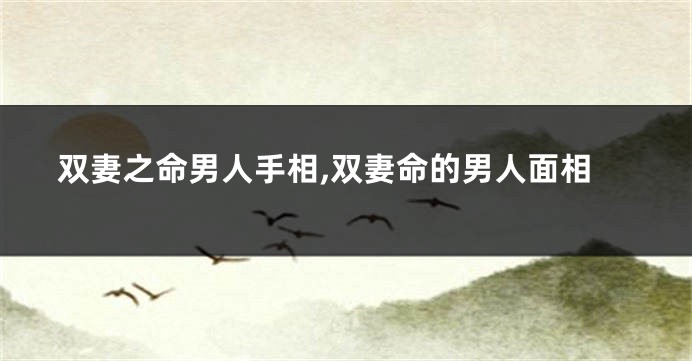 双妻之命男人手相,双妻命的男人面相