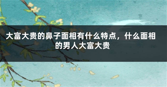 大富大贵的鼻子面相有什么特点，什么面相的男人大富大贵