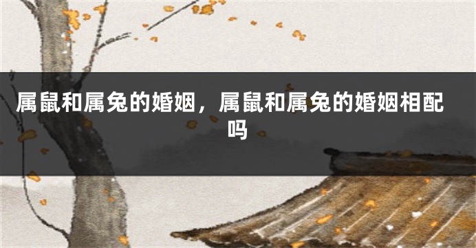 属鼠和属兔的婚姻，属鼠和属兔的婚姻相配吗