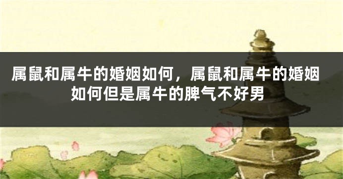 属鼠和属牛的婚姻如何，属鼠和属牛的婚姻如何但是属牛的脾气不好男