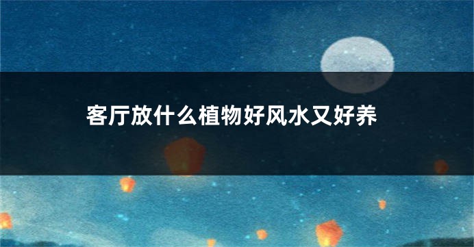 客厅放什么植物好风水又好养