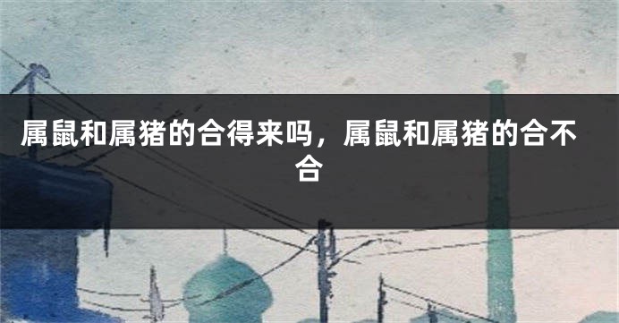 属鼠和属猪的合得来吗，属鼠和属猪的合不合