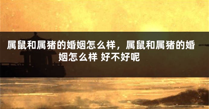 属鼠和属猪的婚姻怎么样，属鼠和属猪的婚姻怎么样 好不好呢