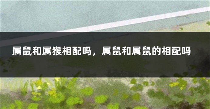 属鼠和属猴相配吗，属鼠和属鼠的相配吗
