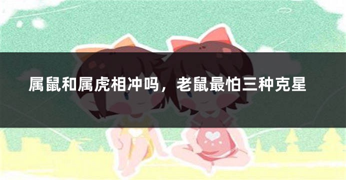 属鼠和属虎相冲吗，老鼠最怕三种克星