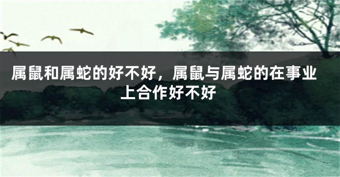 属鼠和属蛇的好不好，属鼠与属蛇的在事业上合作好不好