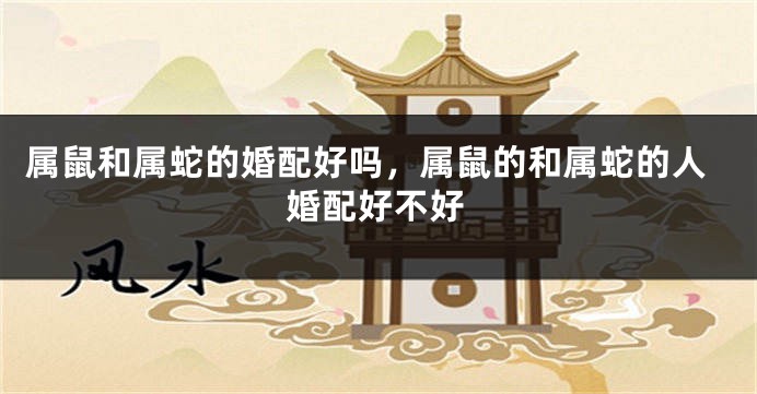 属鼠和属蛇的婚配好吗，属鼠的和属蛇的人婚配好不好