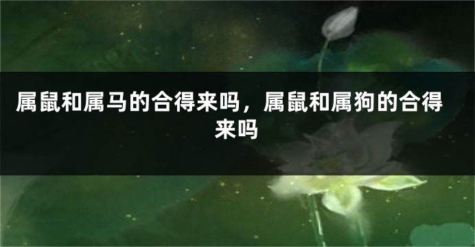 属鼠和属马的合得来吗，属鼠和属狗的合得来吗