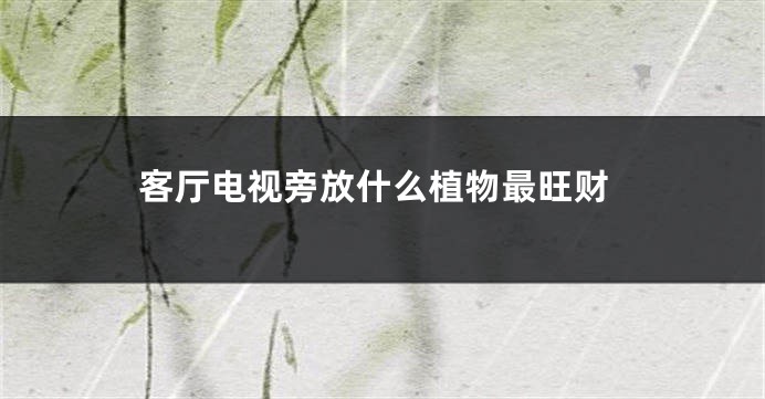 客厅电视旁放什么植物最旺财